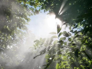 3 Schritte für die globale mentale Gesundheit